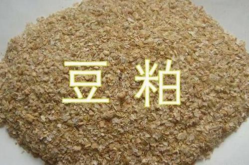 �������ڱ�ֵ