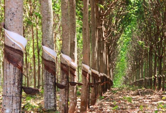 �콺���ڱ�ֵ