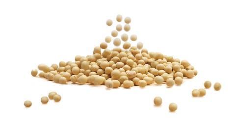 �����ڱ�ֵ