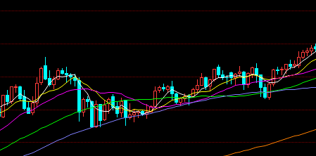 ����ָ�ڻ�